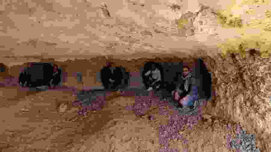 Explore the Faiyum Desert