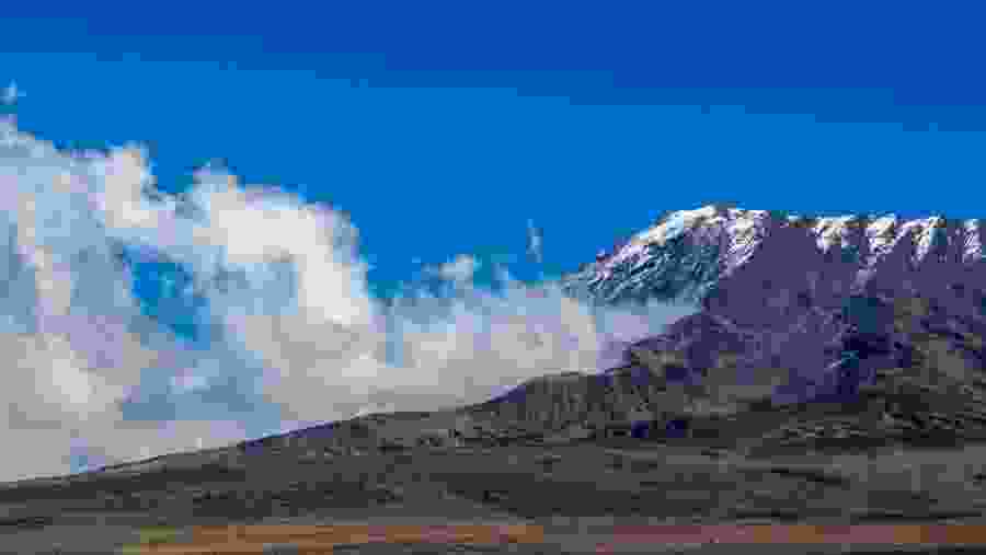 Kilimanjaro