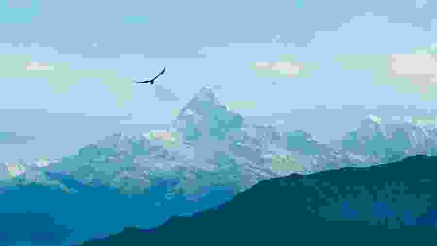 Snowcapped Mountains