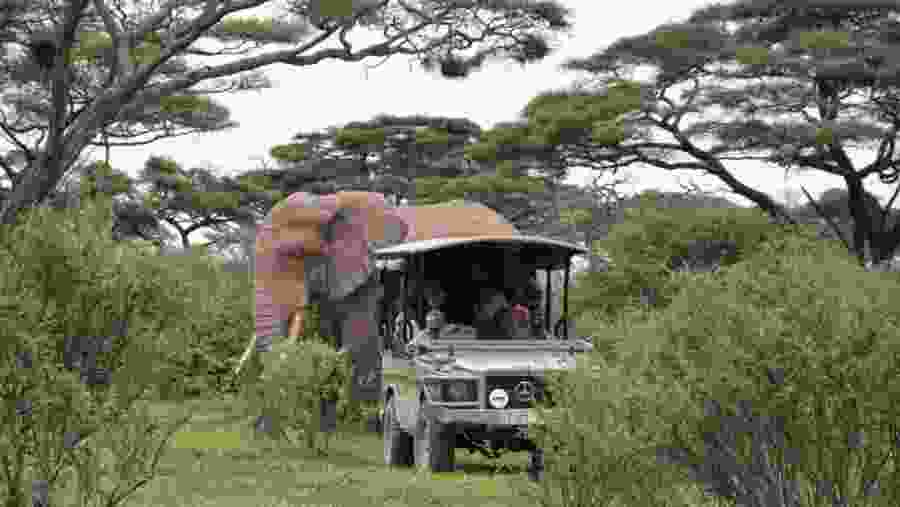 Marvel at up close animal experiences