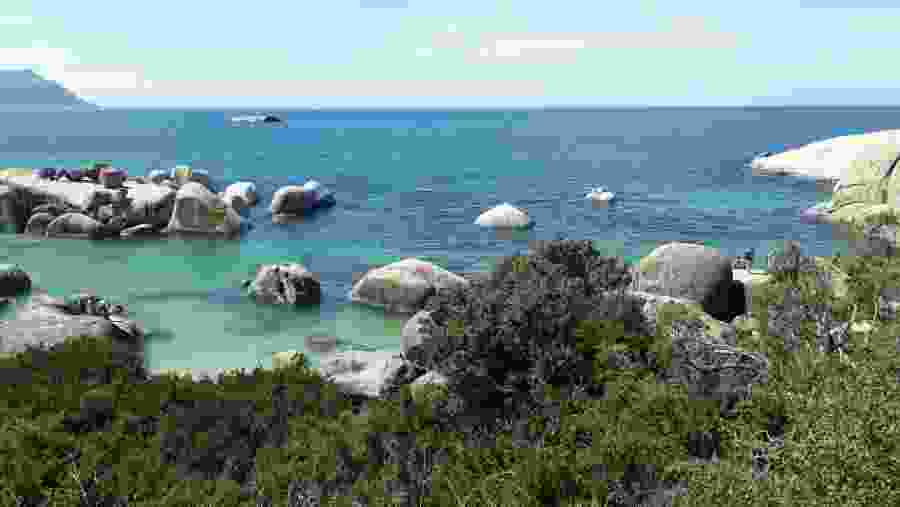 Admire the Crystal Clear Waters of Boulders Beach