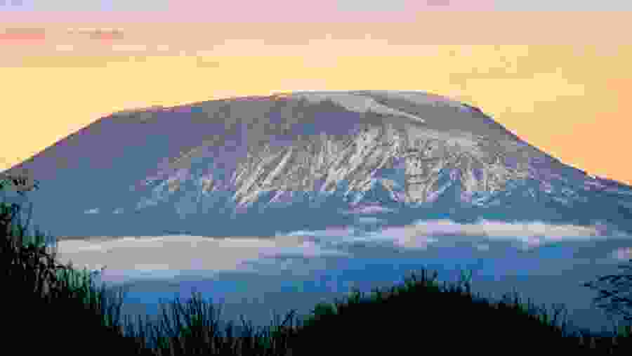 Mt. Kilimanjaro