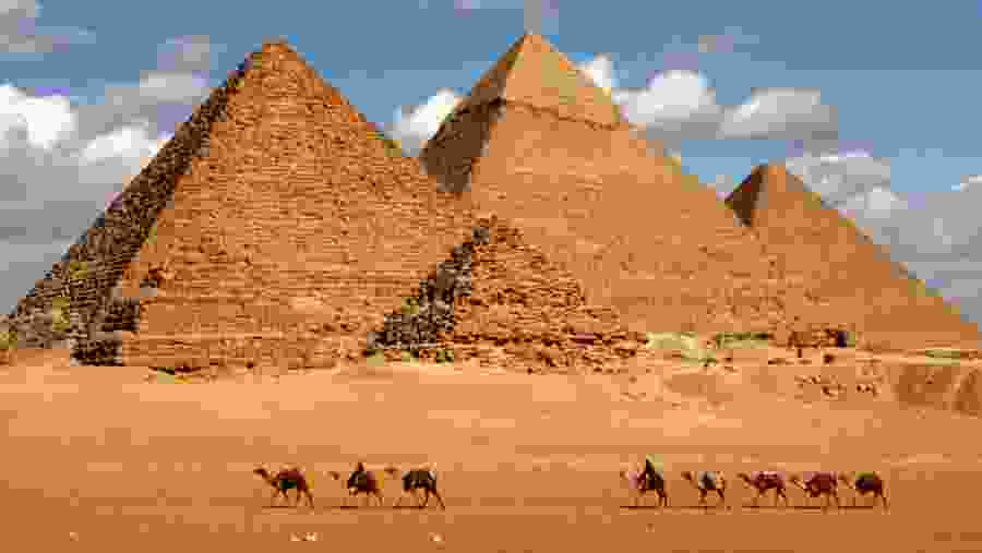 See the Giza Pyramids, Egypt