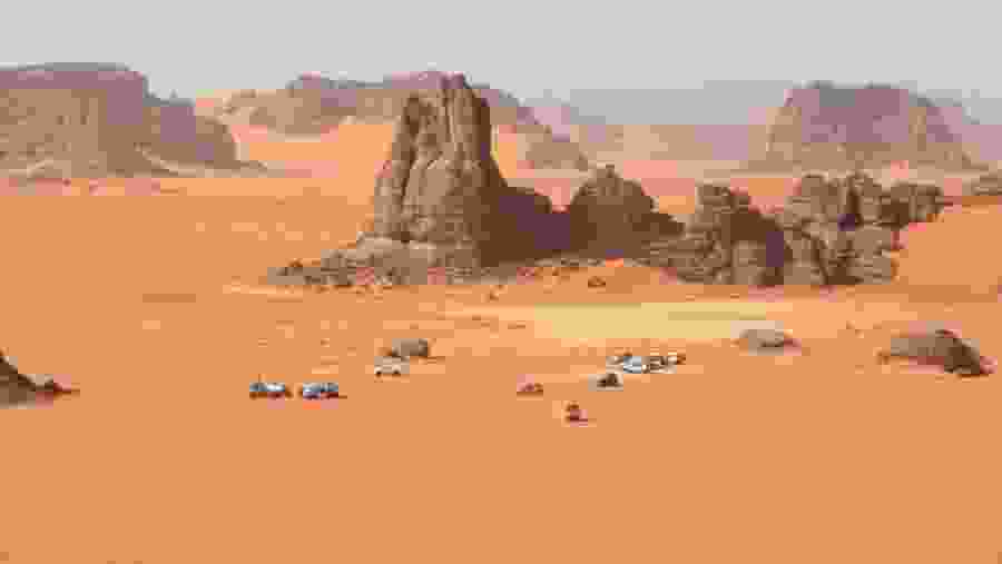 Hike and Trek amidst the Algerian Sahara