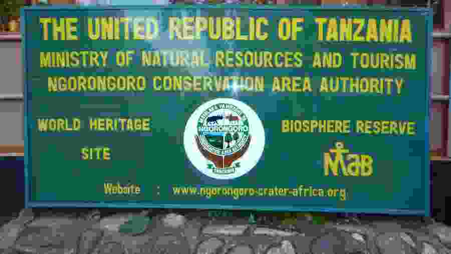 Visit the Ngorongoro Crater