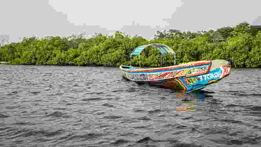 Explore the Saloum Dalta