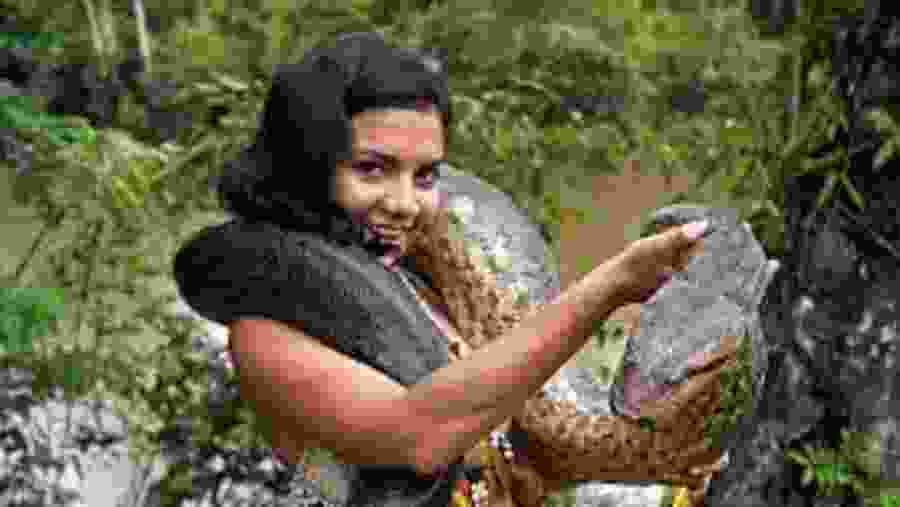 Photography with the wildlife