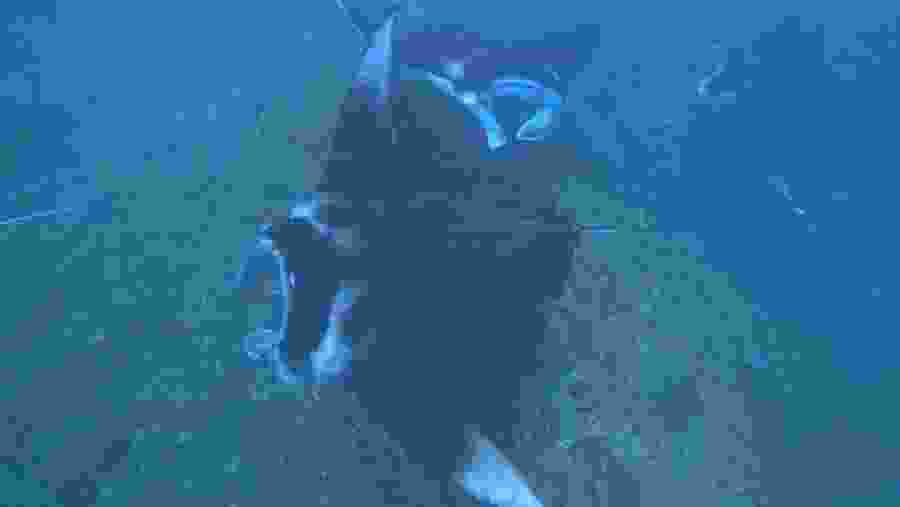 Manta Point Snorkelling Tour Nusa Penida