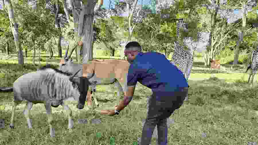 Wildlife Experience