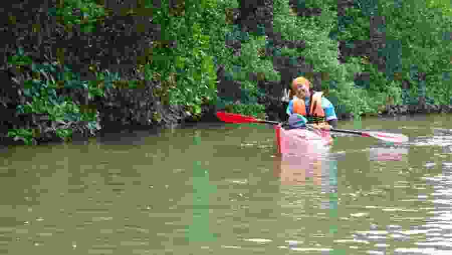 Kayaking At Sungai Pelek River