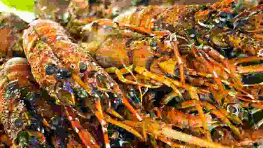 Crab