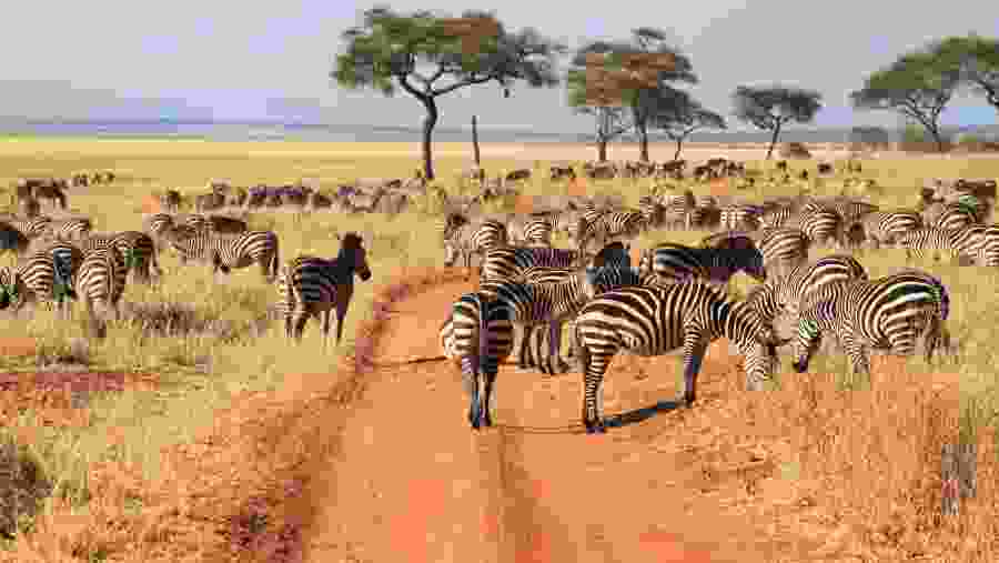 Tarangire National Park