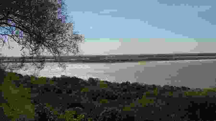 Paraná River In Argentina