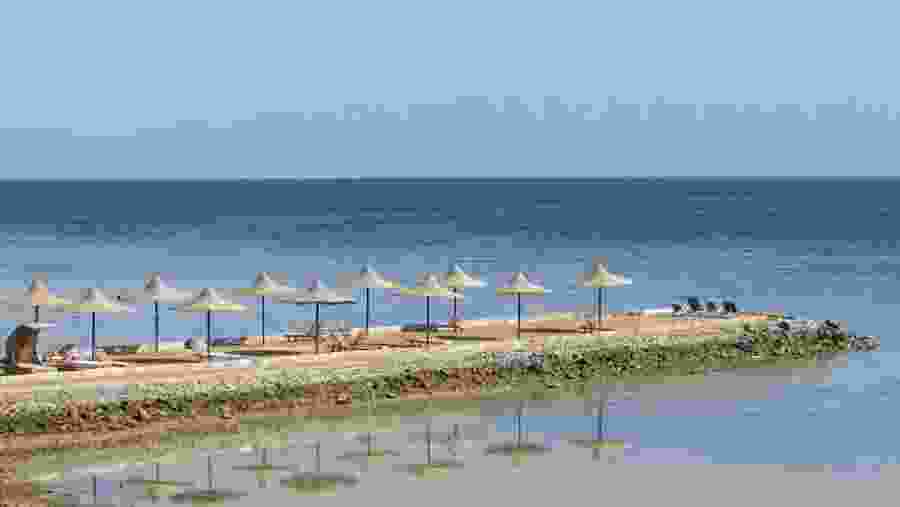 Go snorkelling in the Red Sea