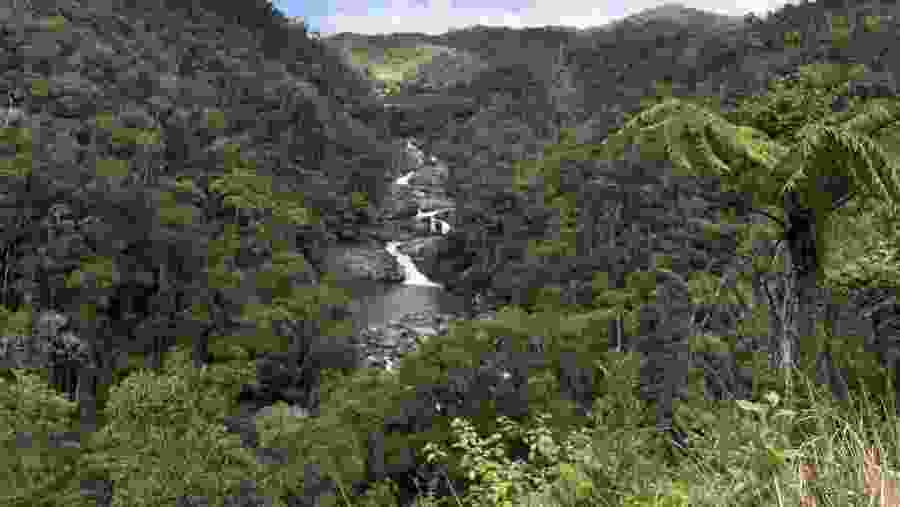 Andasibe, Ranomafana, Isalo