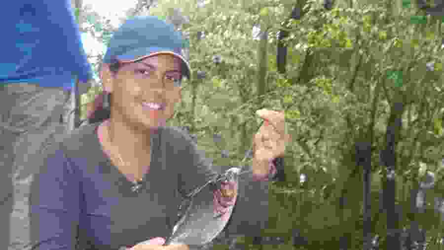 Fishing piranhas.