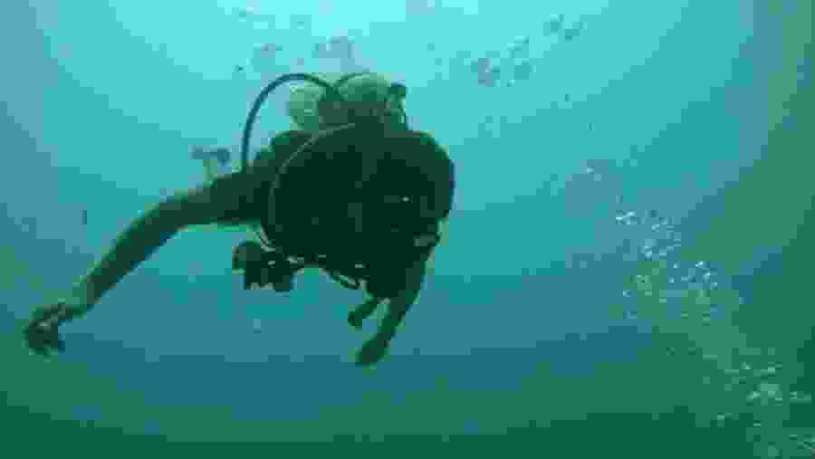 Scuba Diving in Mirissa