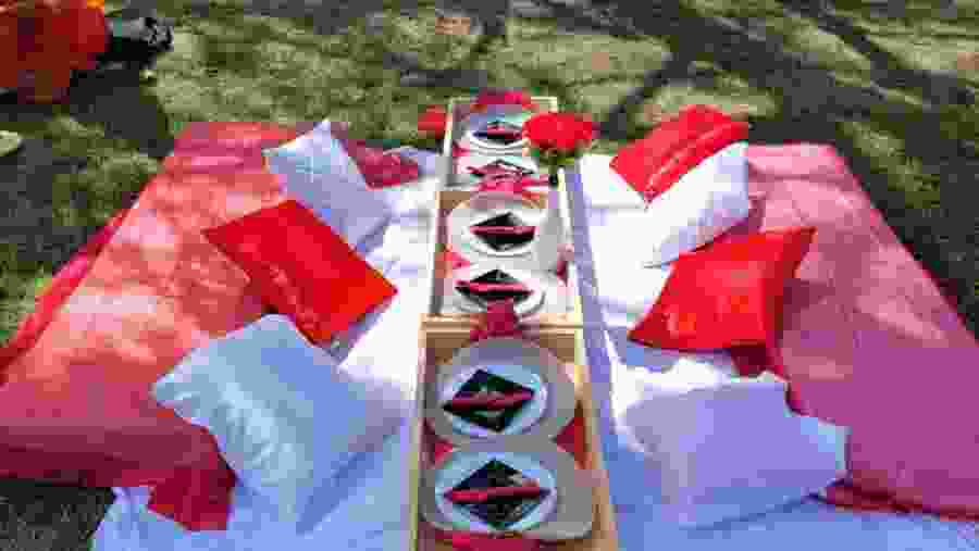 Picnic Setup