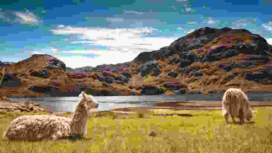 Parque Nacional Cajas