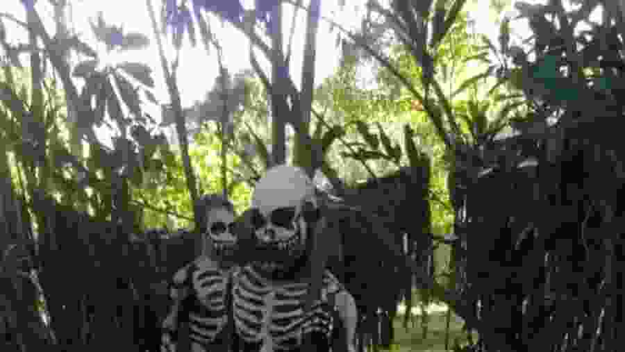 View the skeleton tribe performance