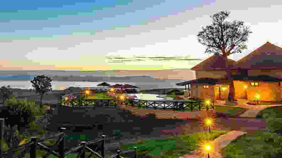 Witness the African wildlife