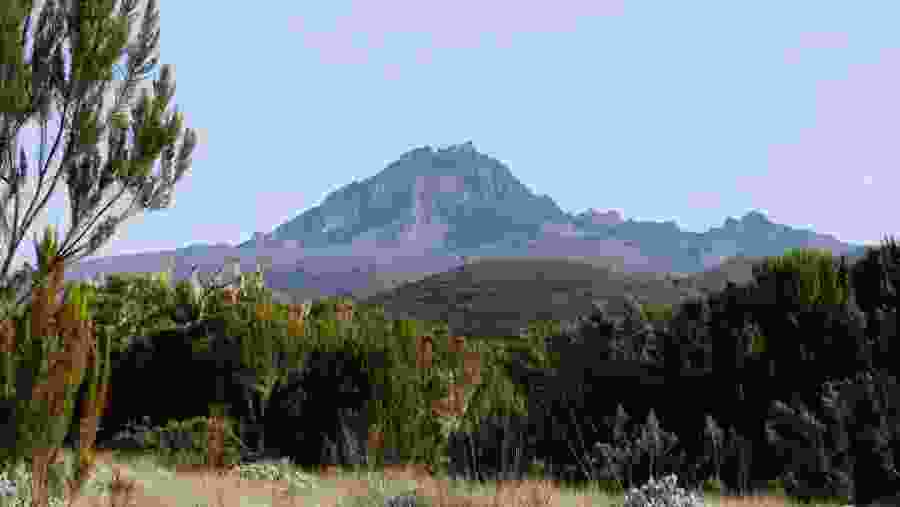 Kilimanjaro Day Hike