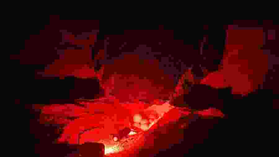 Santa Maria: Sal Island Sea