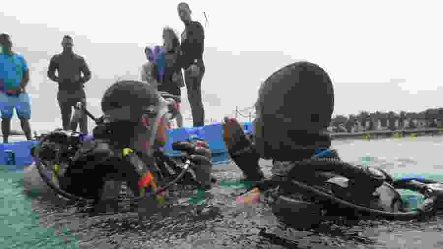 Travelers scuba diving in the Red Sea