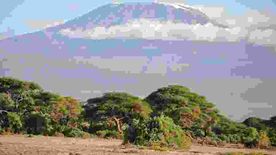 Witness Mount Kilimanjaro