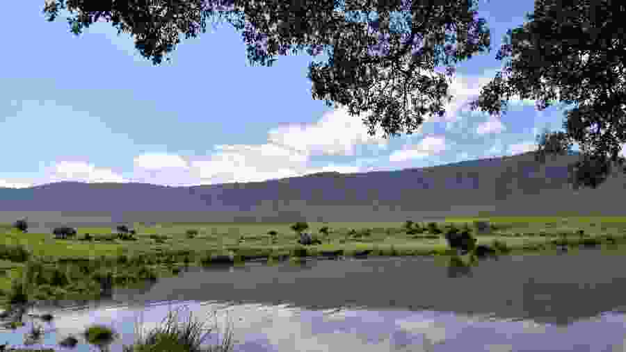 Lake Manyara National Park