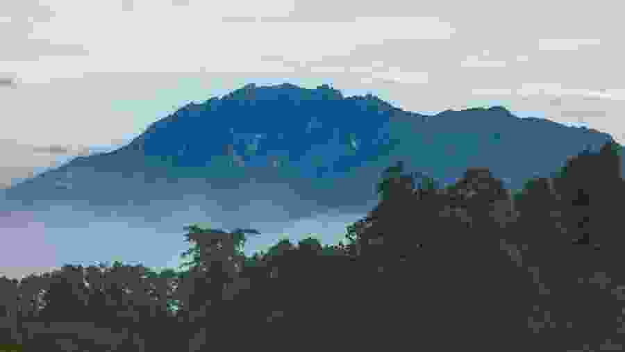 Scenic Mountain View