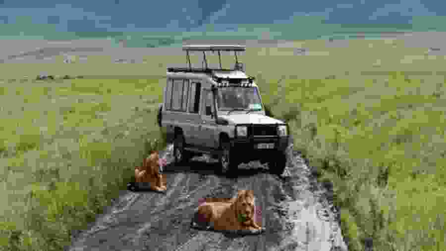 Jeep Safari