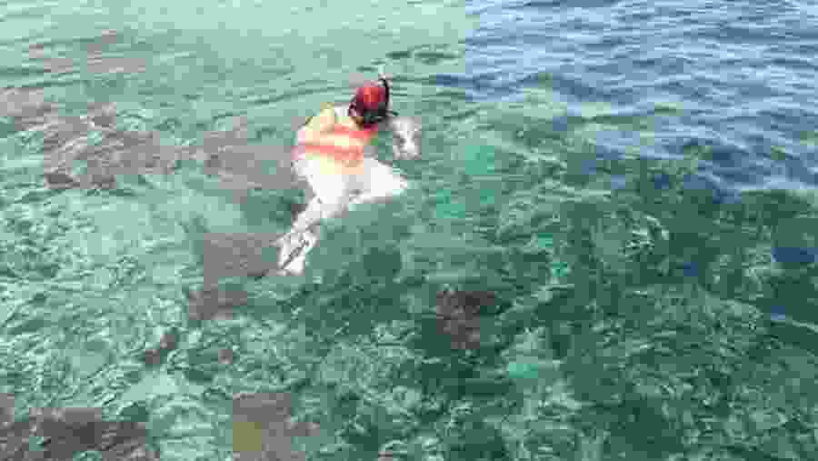 Snorkelling in Boobikey Island