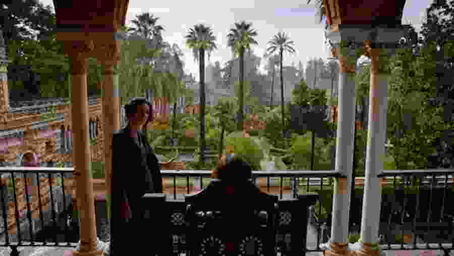 Balcony views - Alcázar Gardens