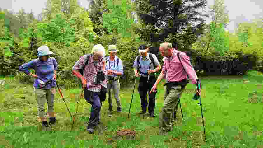 Travellers at the Transylvanian Alps