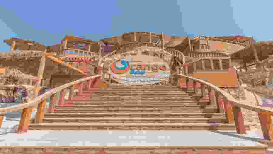 Orange Bay Beach Trip