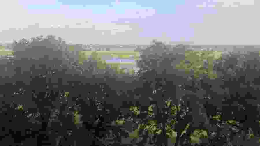 See the Rhine from Arnhem