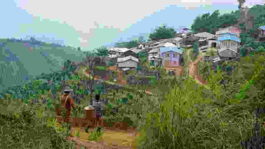 See the local houses