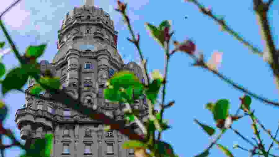 Palace