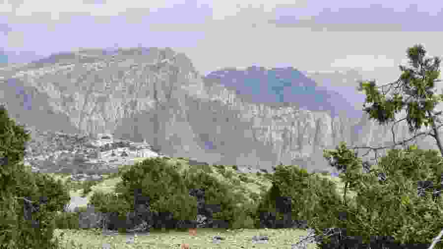 Views of the Taif Mountains