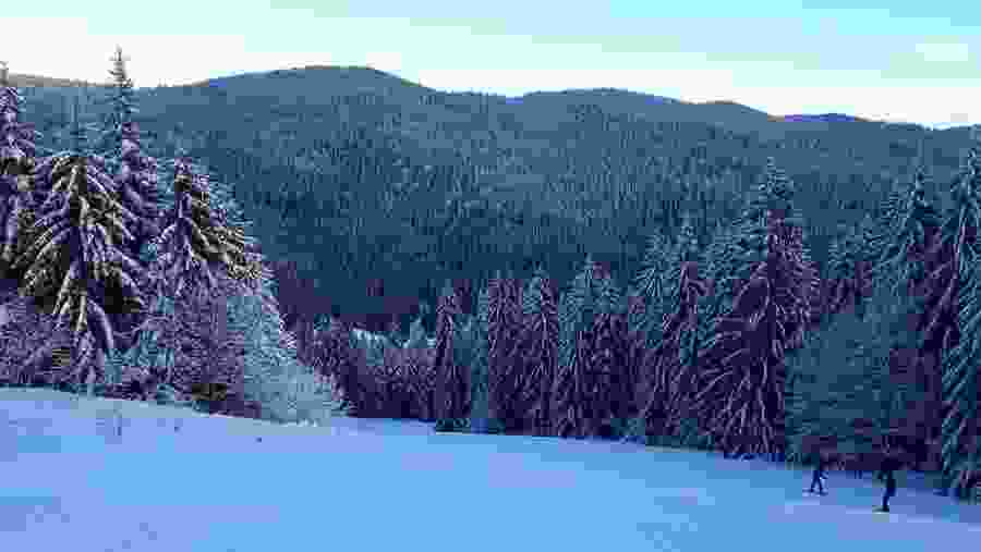 Olympic Mountain
