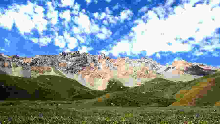 Relish the green seas of grass in the Naryn Mountains