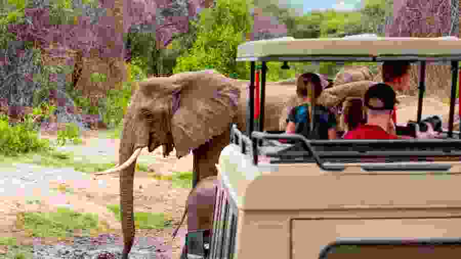 Jeep Safari