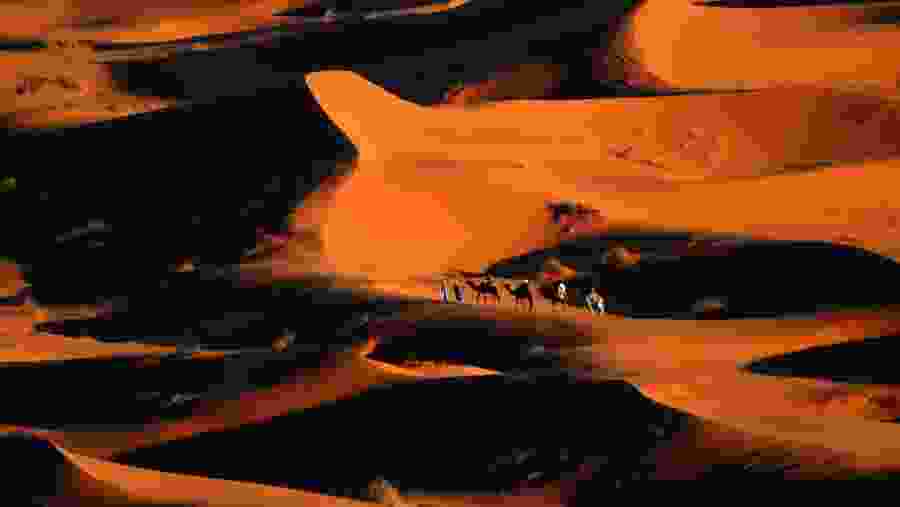 Moroccan Desert