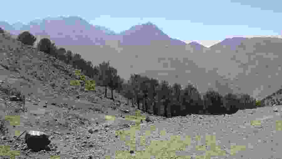Mount Toubkal Range