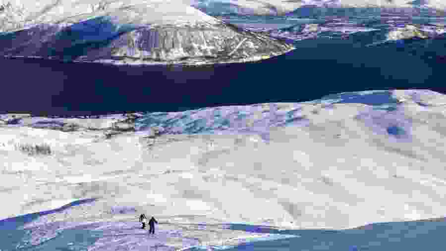 Fjords