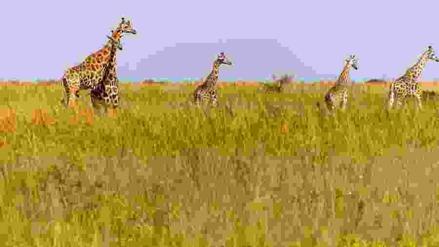 National Park