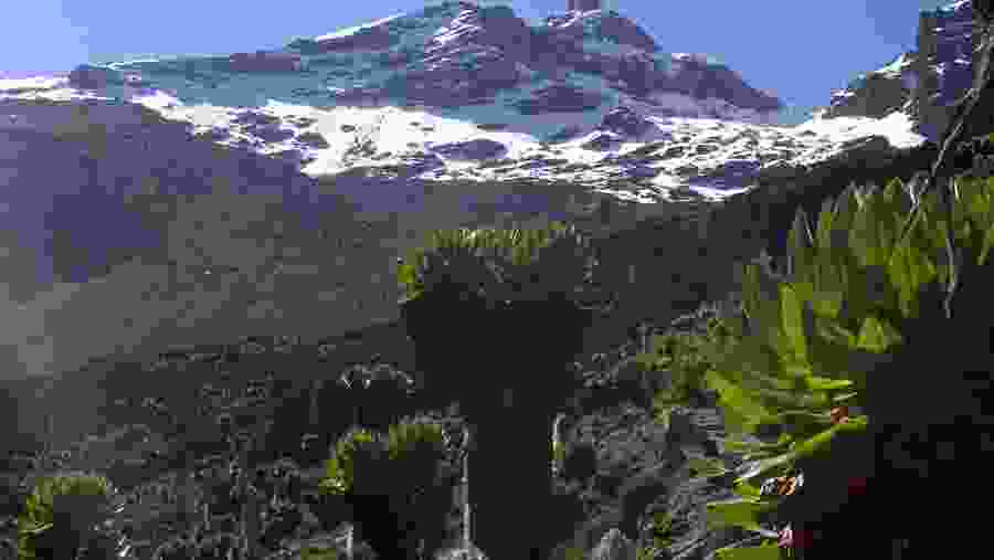 Marvel at the beauty of Point Lenana