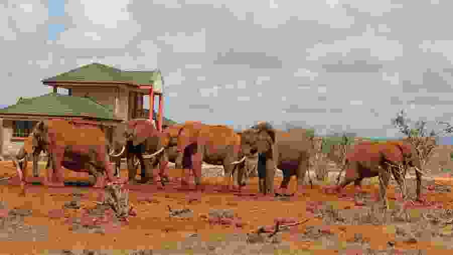 Tsavo East National Park