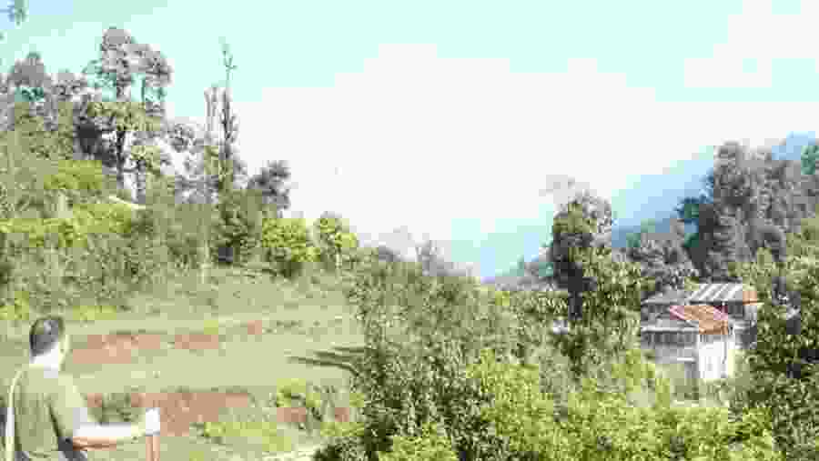 View at Dhampus
